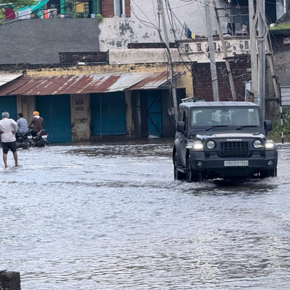 Untitled design (11)